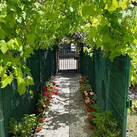 Gasthuis Casa Lilia Vicino La Stazione E Caserma